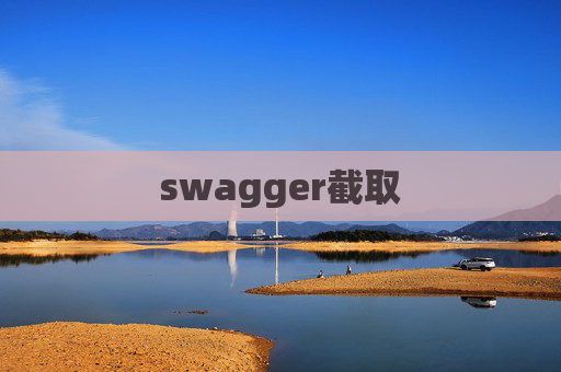 swagger截取